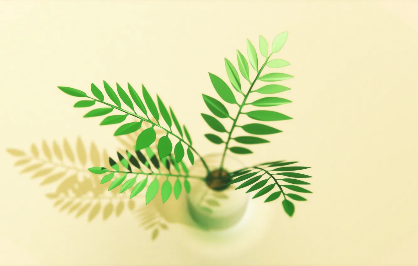 Photo wallpaper plant, flora, blender3d