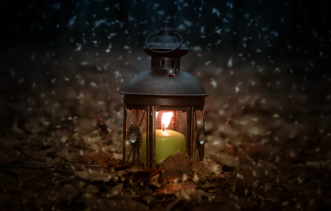 Photo wallpaper forest, snow, nature, mood, fire, holiday, lantern, different