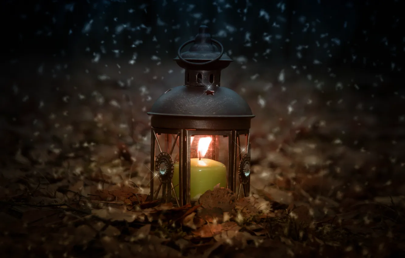 Photo wallpaper forest, snow, nature, lights, mood, holiday, lights, different