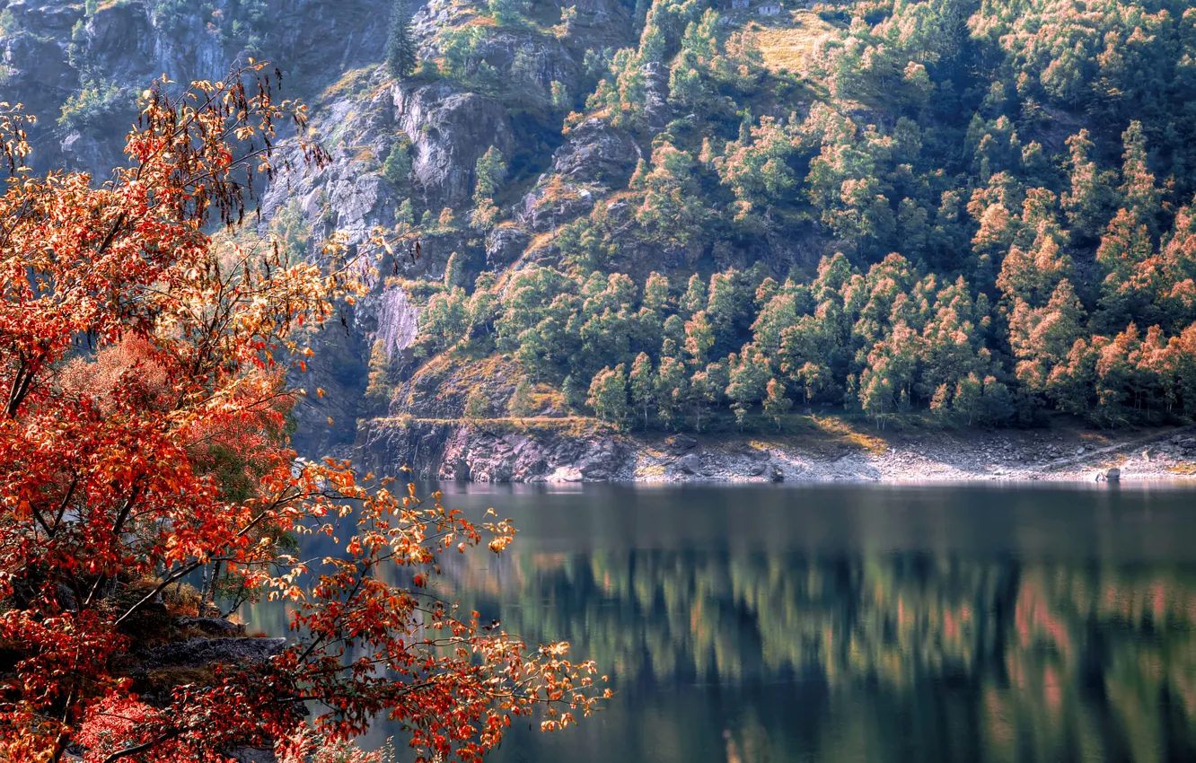 Photo wallpaper autumn, trees, lake, slope