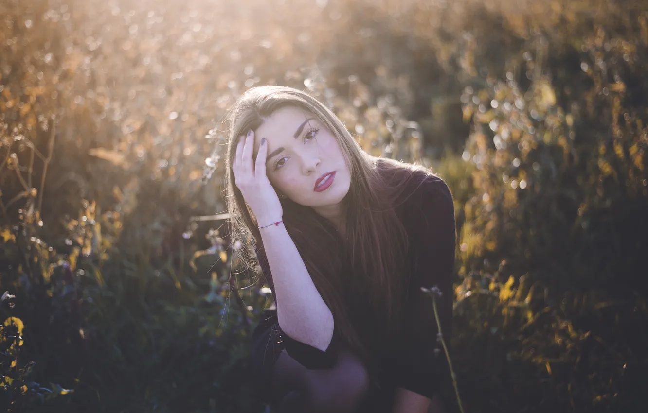 Photo wallpaper grass, look, girl, hair