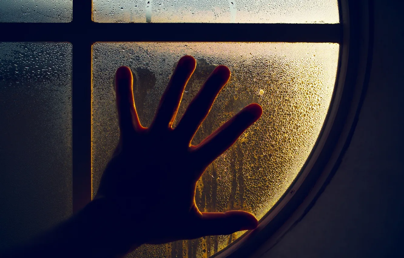 Photo wallpaper glass, drops, window, Hand, fingers, palm