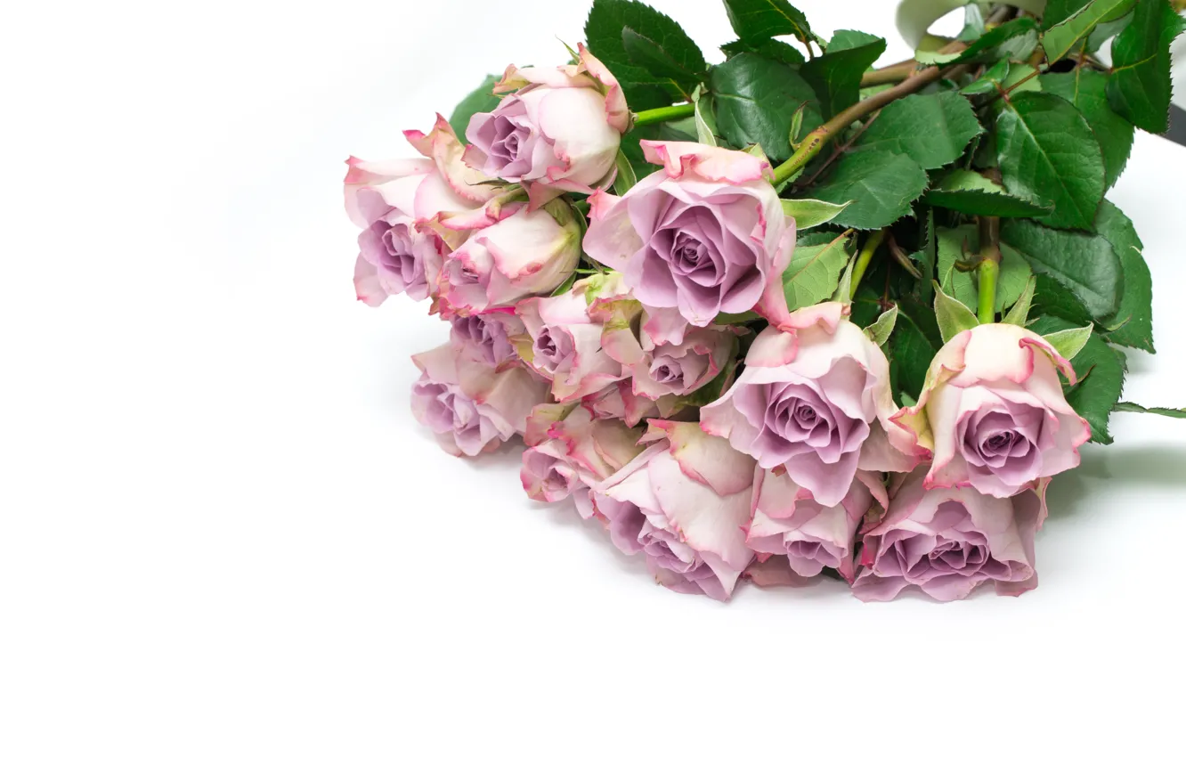 Photo wallpaper roses, bouquet, beautiful