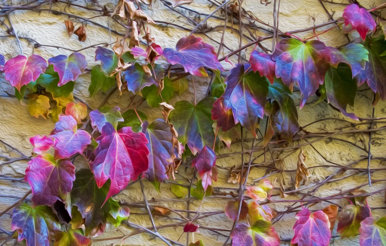 Photo wallpaper autumn, leaves, wall, color, stem, ivy