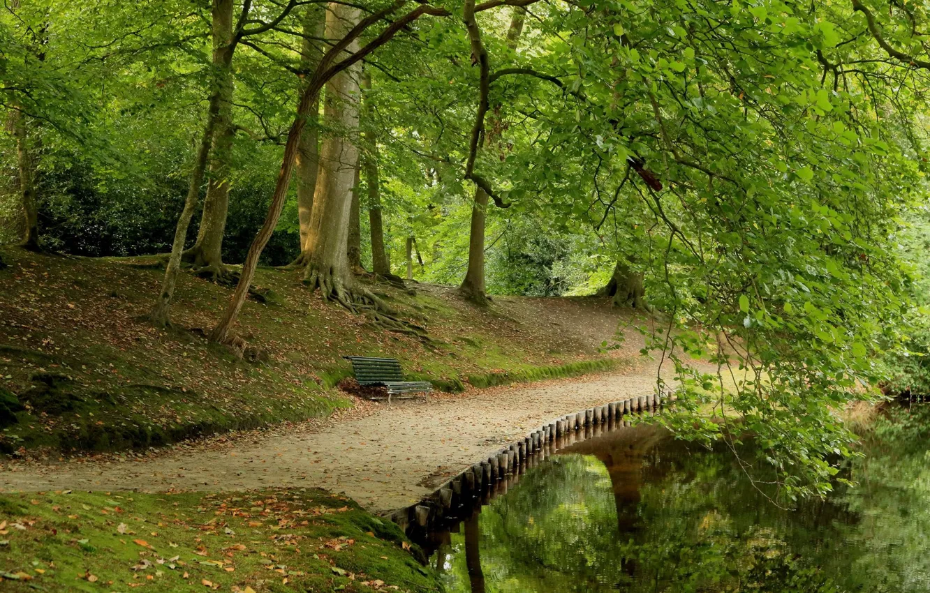 Photo wallpaper forest, landscape, bridge, nature, spring
