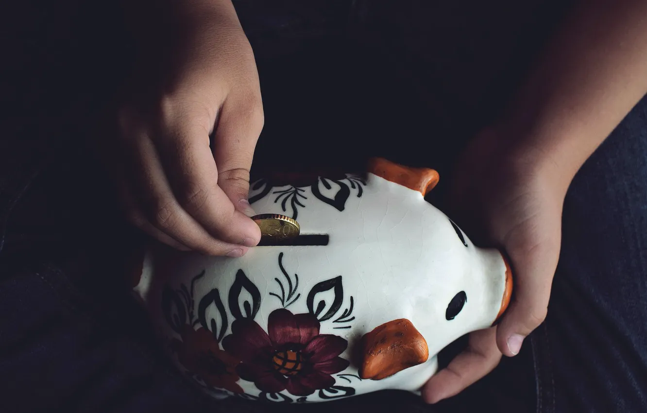 Photo wallpaper money, piggy, pig