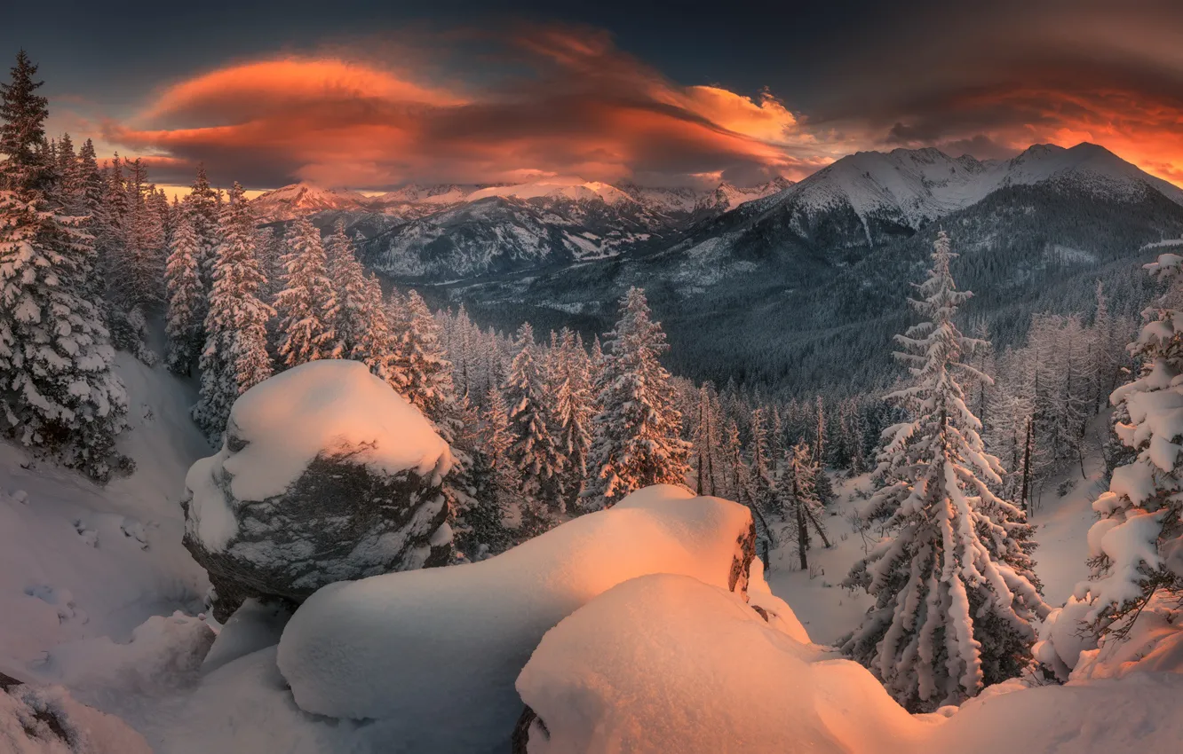 Photo wallpaper winter, forest, snow, sunset, mountains, stones, ate, the snow