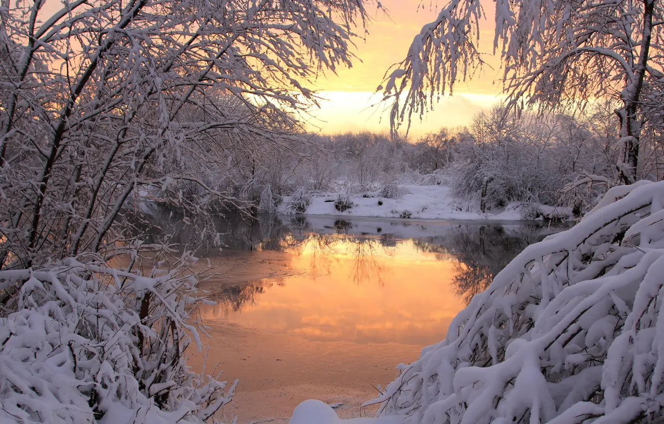 Photo wallpaper winter, snow, sunset, nature
