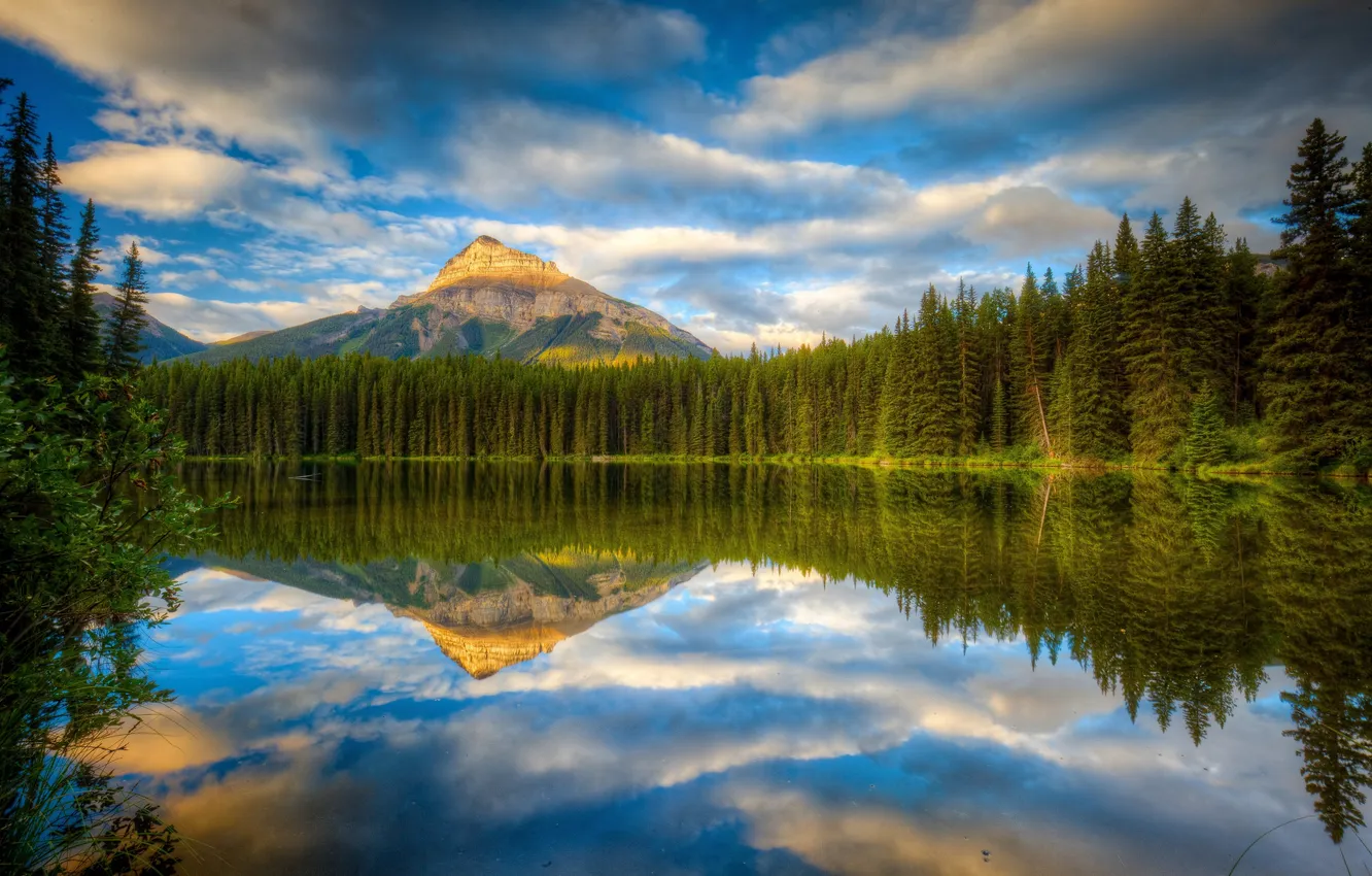 Photo wallpaper forest, lake, reflection, mountain, Canada, Albert, Banff National Park, Alberta