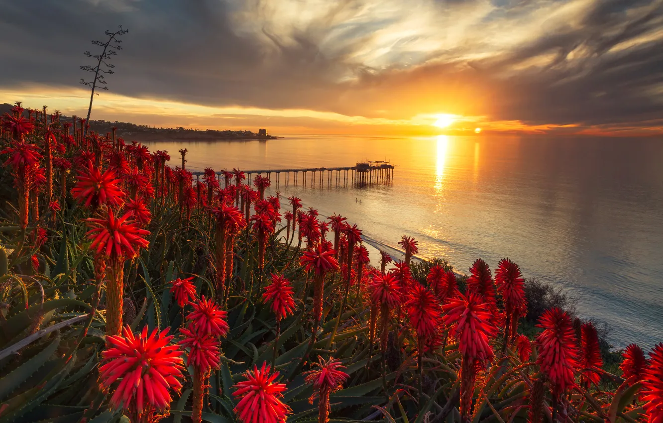 Photo wallpaper sea, sunset, coast, pier, pierce, red, USA, San Diego