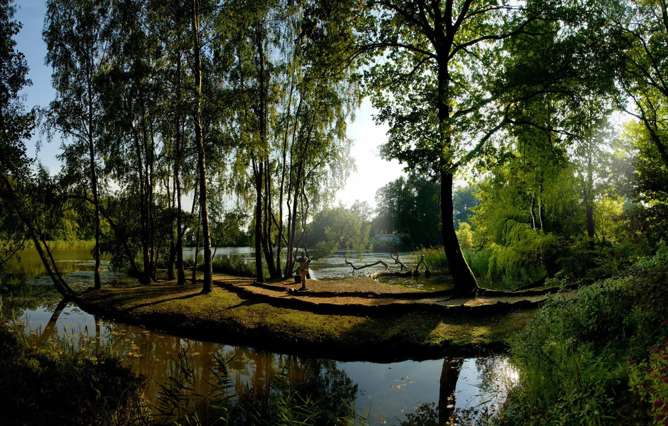 Photo wallpaper water, the sun, trees, green, reflection