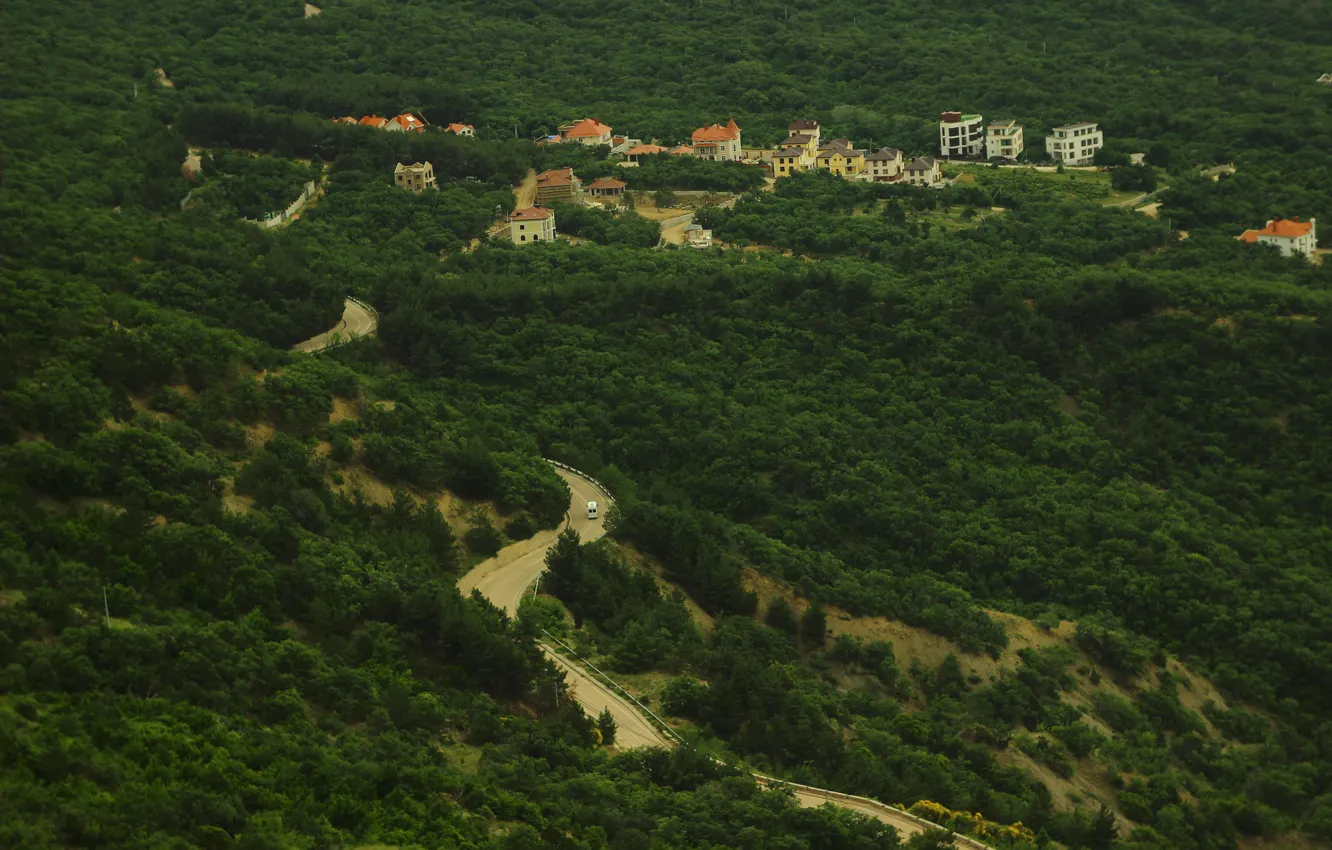 Photo wallpaper road, trees, height, Crimea