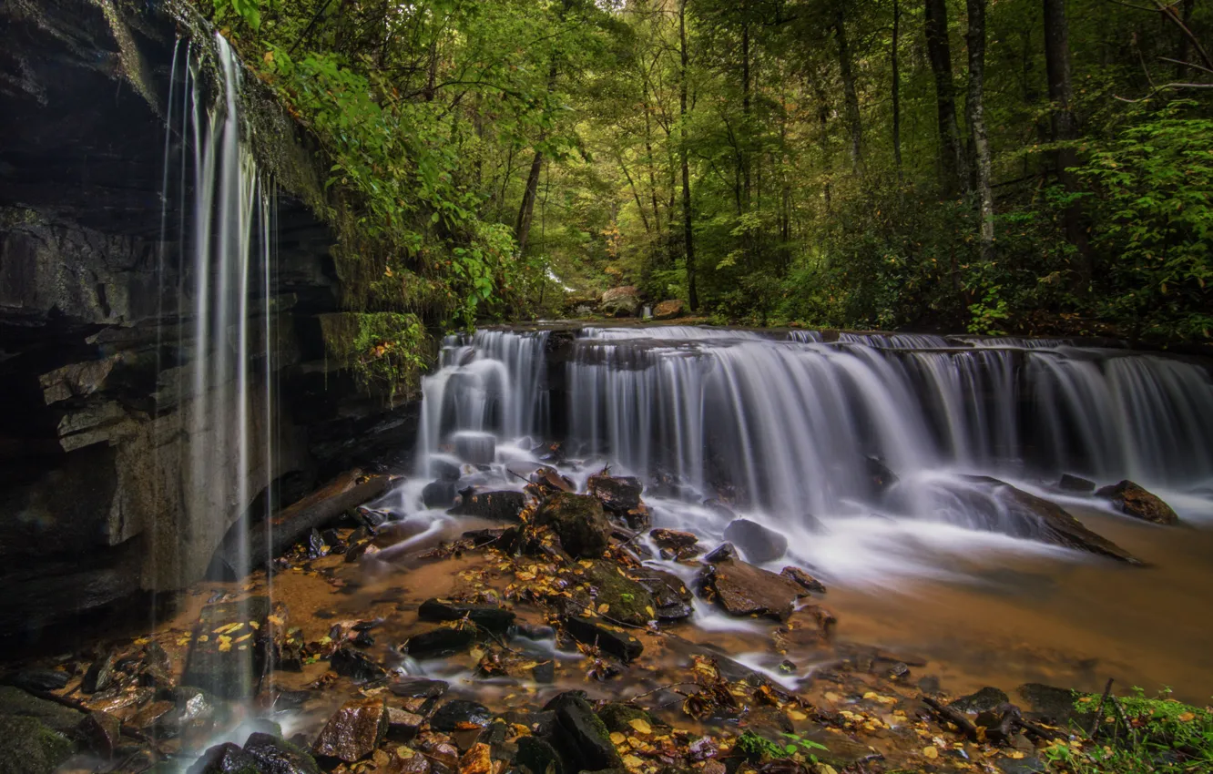 Photo wallpaper forest, stones, waterfall, cascade, North Carolina, North Carolina, Pearson's Falls, Saluda
