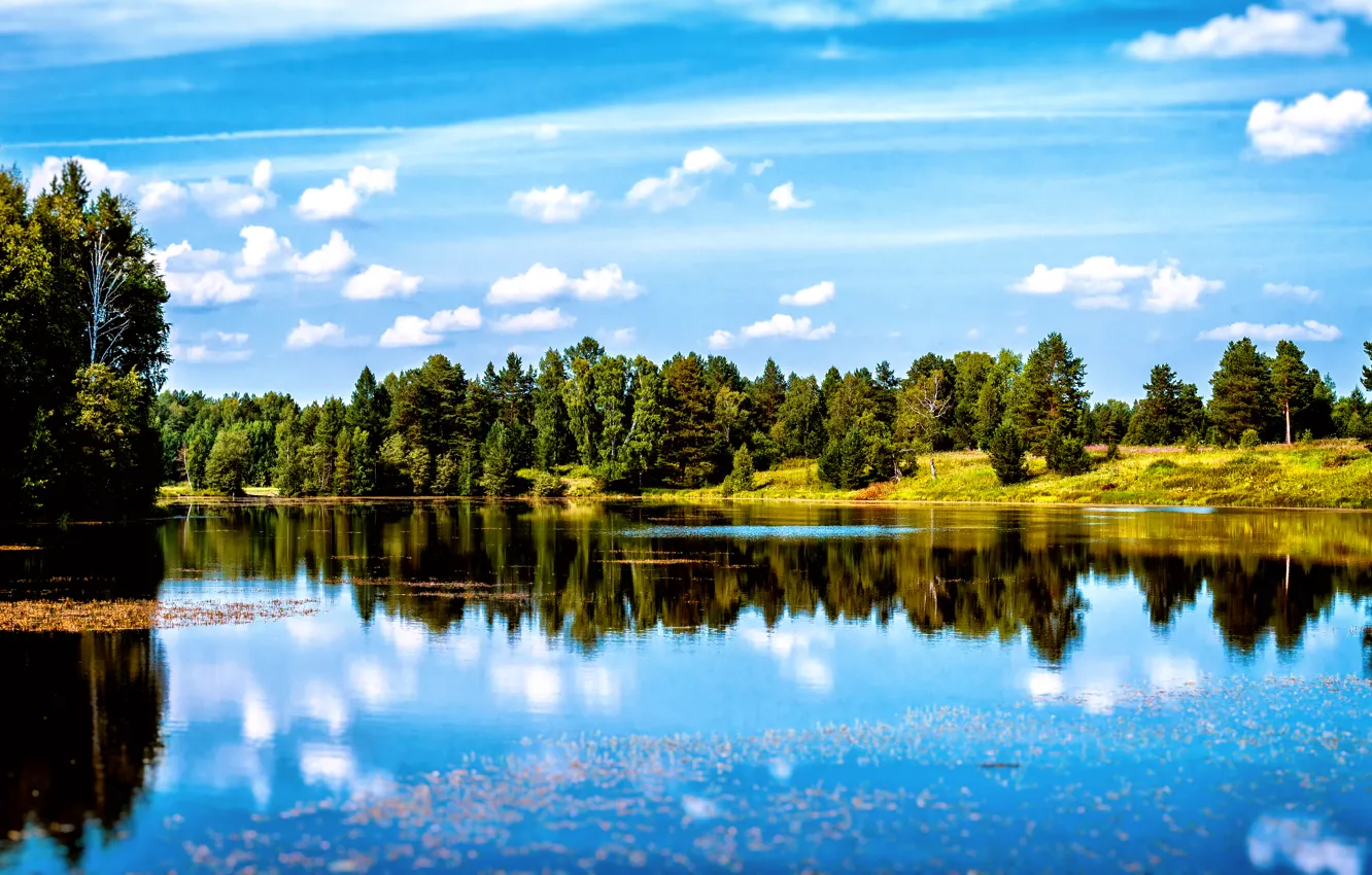 Photo wallpaper summer, Pervouralsk, Gagarino