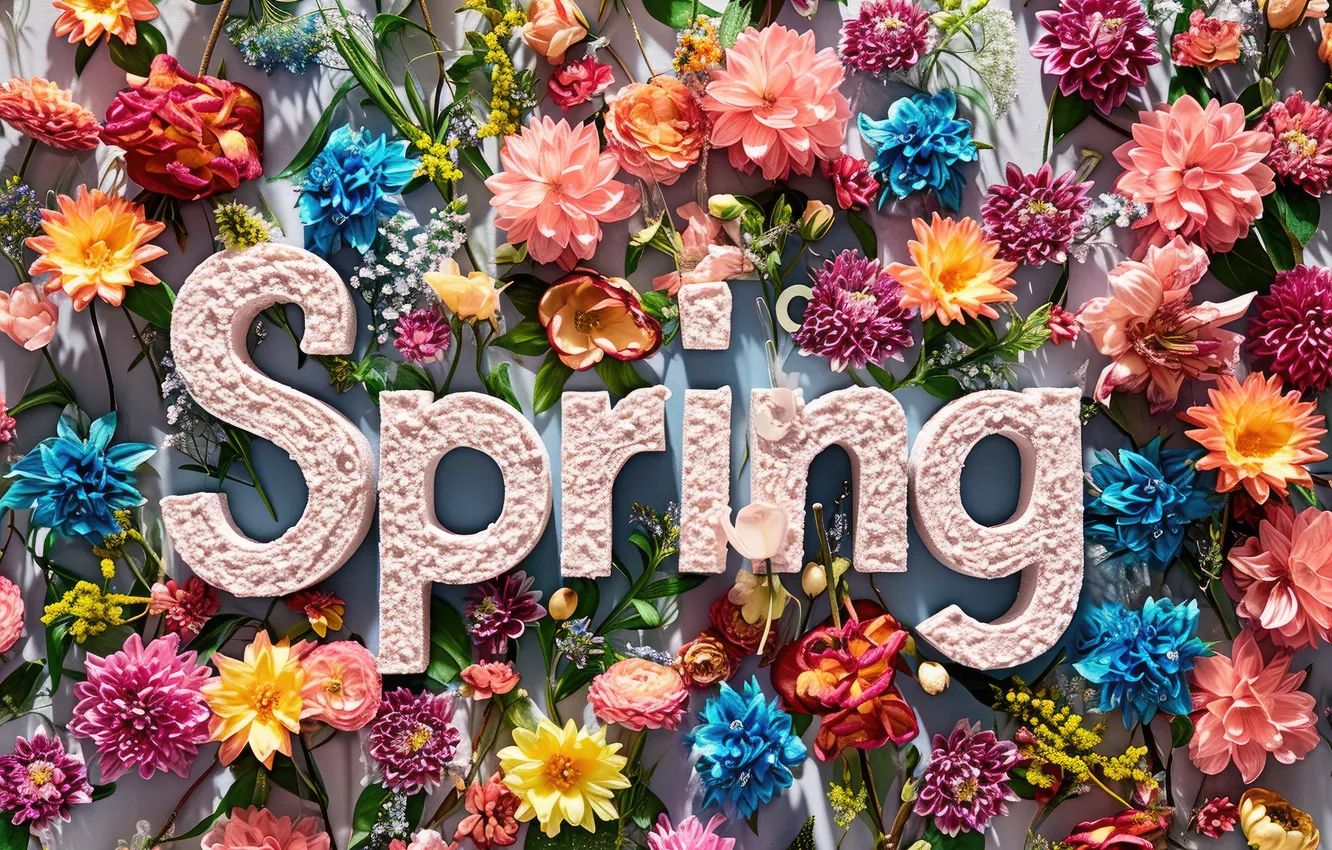 Photo wallpaper flowers, spring, colorful, flowers, spring