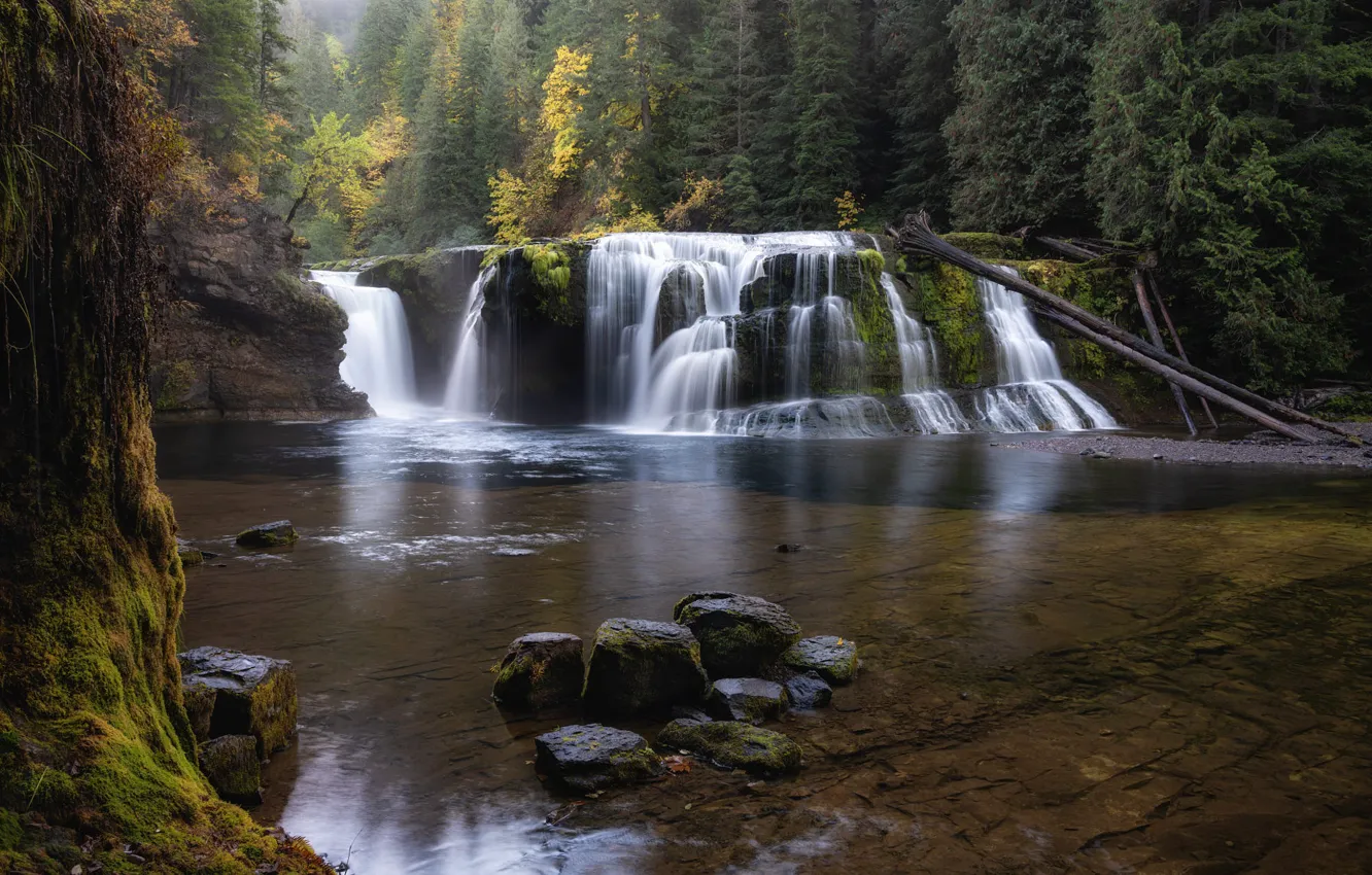 Photo wallpaper autumn, forest, lake, stones, rocks, shore, waterfall, log