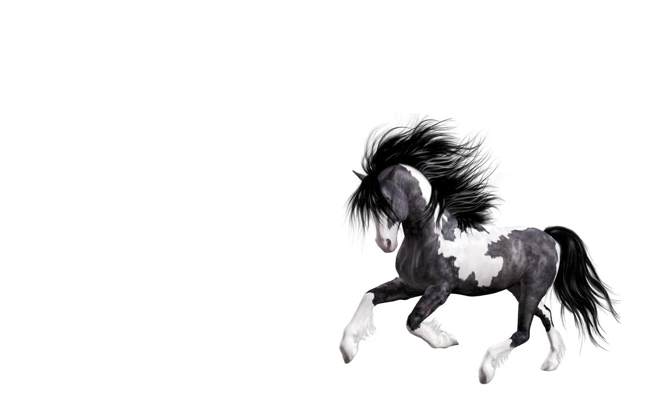 Photo wallpaper horse, art, running