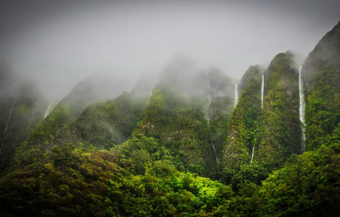 Photo wallpaper mountains, Hawaii, Hawaii, tropics, Oahu, waterfalls., Jungle Highhlands
