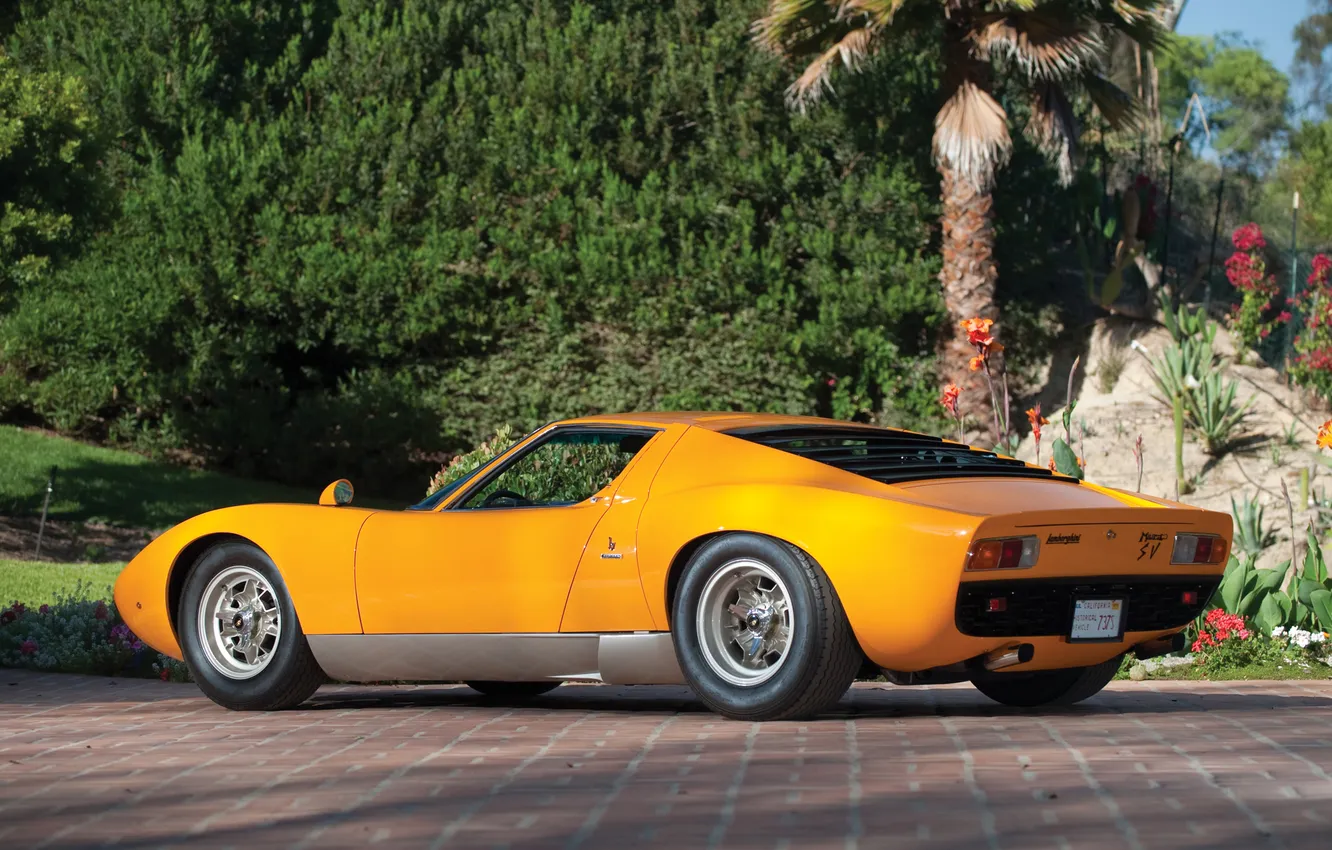 Photo wallpaper trees, flowers, yellow, Lamborghini, garden, 1971, supercar, rear view