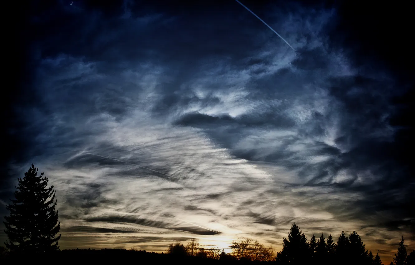 Photo wallpaper the sky, trees, sunset, nature, the evening