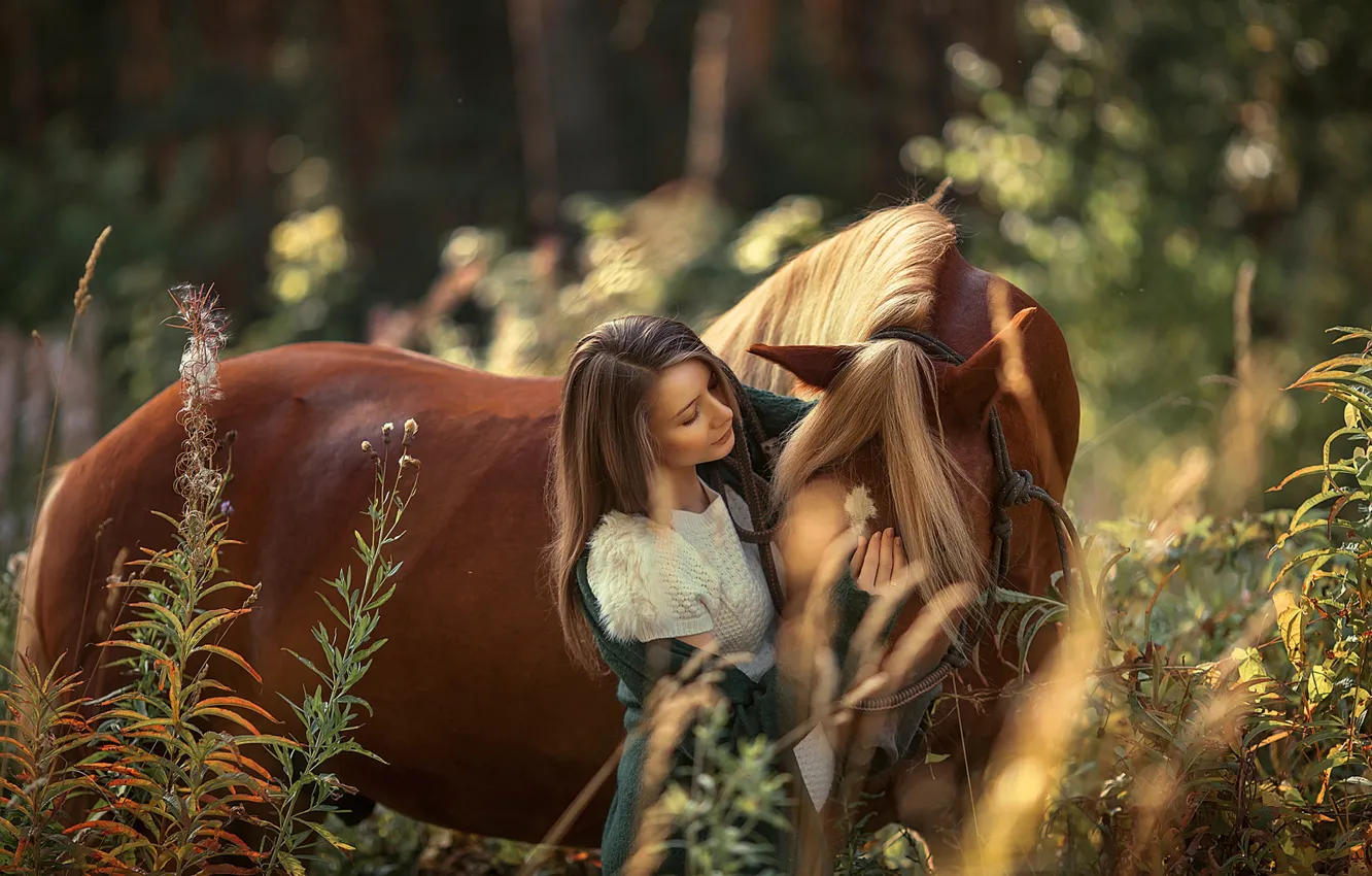 Photo wallpaper girl, horse, horse, attachment
