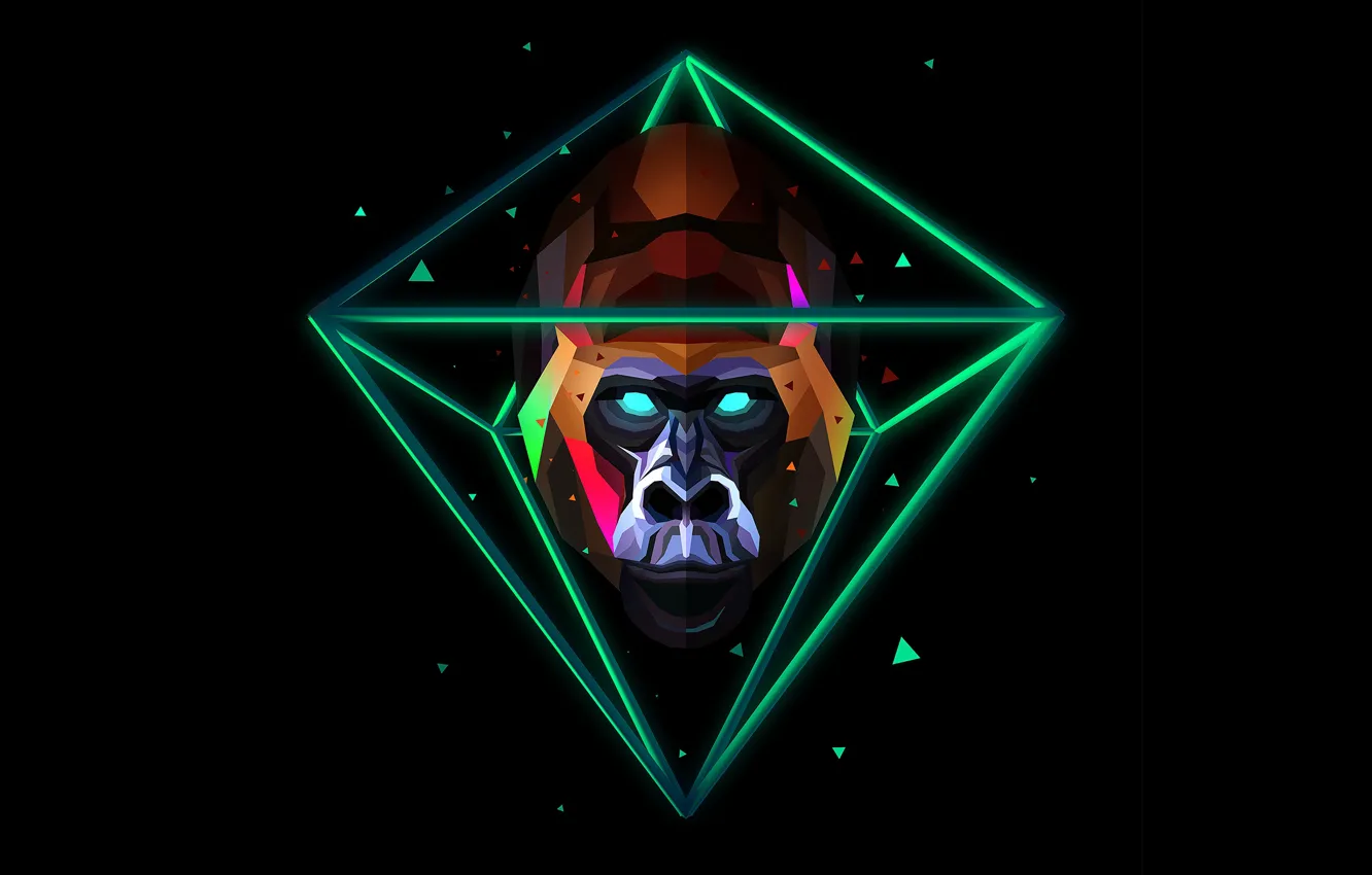Photo wallpaper fragments, abstraction, gorilla, black background, abstraction, Justin Maller, Justin Muller, Hanuman