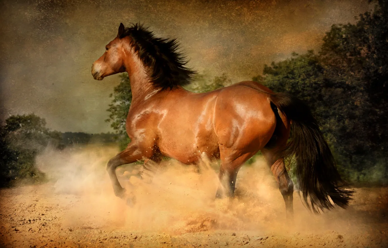 Photo wallpaper the sky, trees, nature, style, retro, horse, power, horse