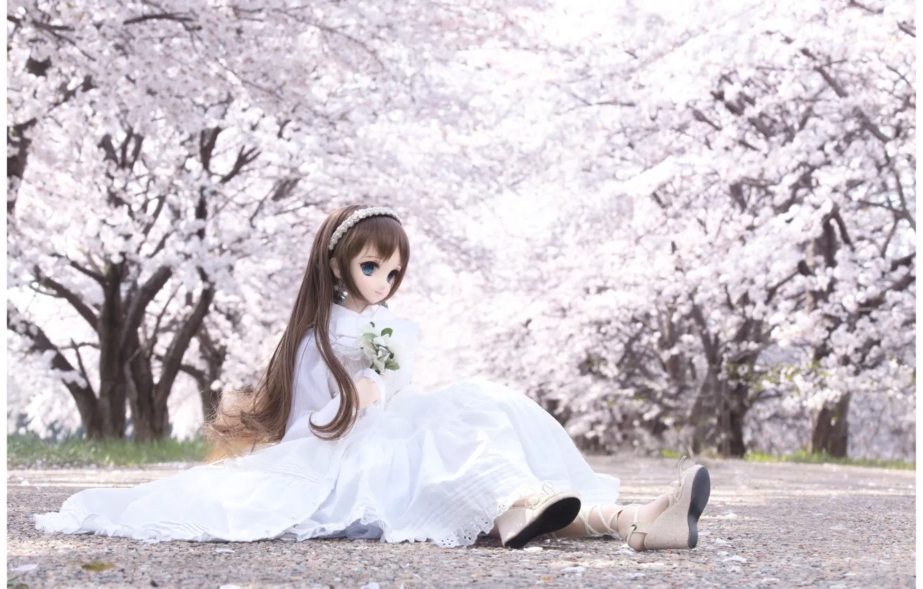Photo wallpaper shoes, doll, Sakura, dress