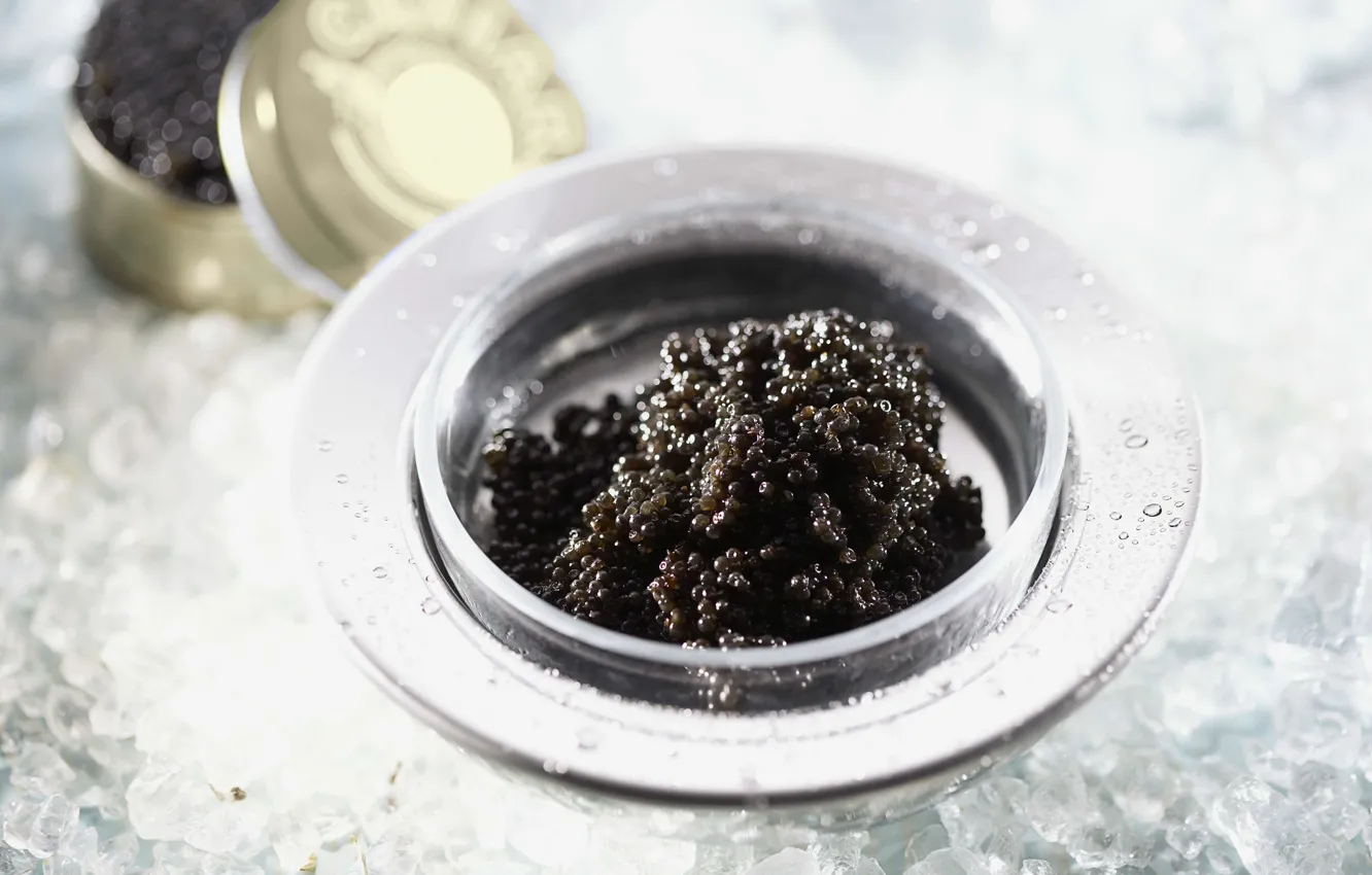 Photo wallpaper ice, macro, black, caviar, delicious, vase caviar, dumb-dumb.