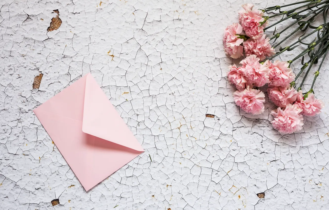 Photo wallpaper flowers, pink, wood, pink, flowers, clove