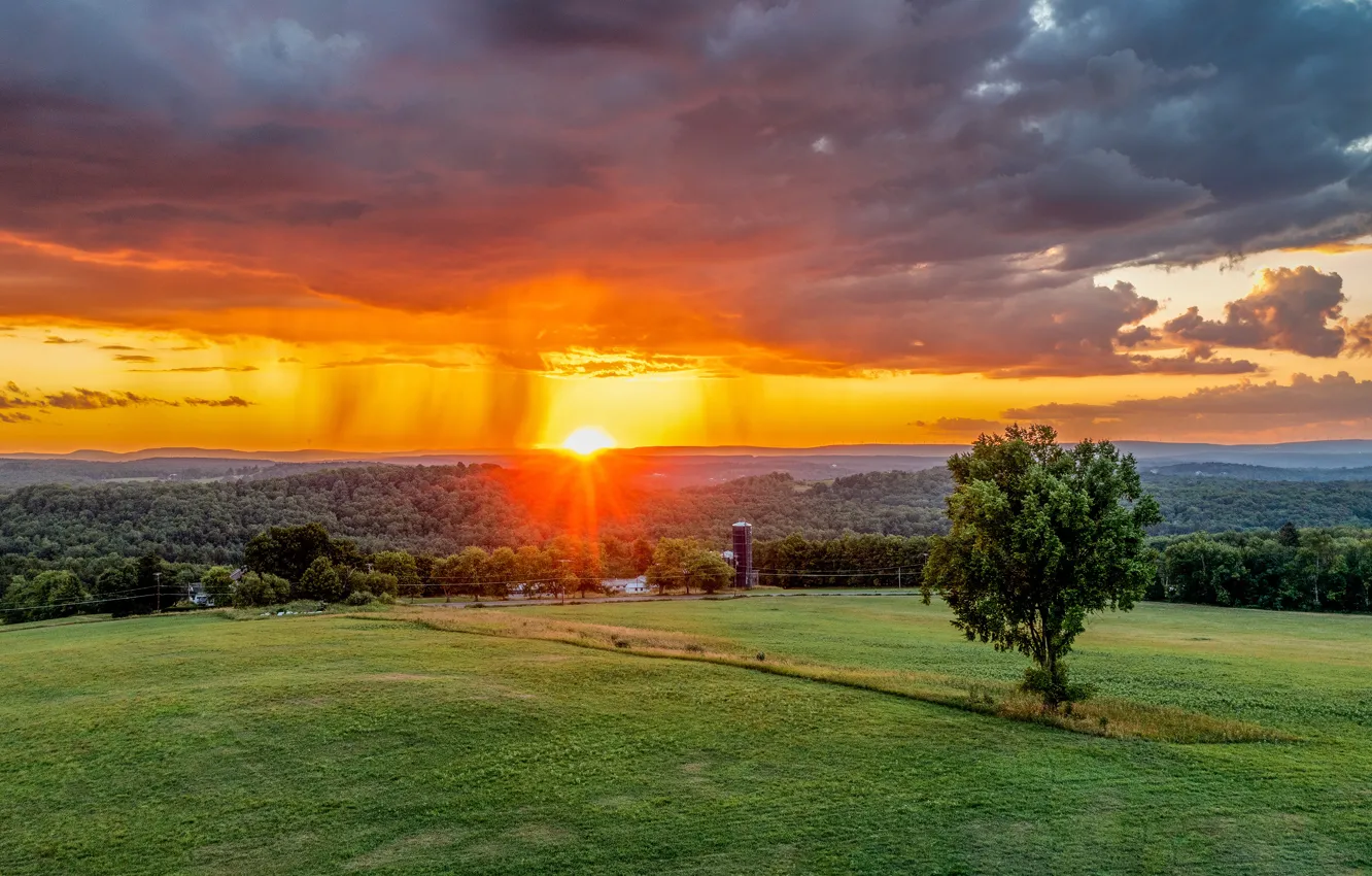 Photo wallpaper field, forest, the sky, grass, the sun, clouds, trees, sunset