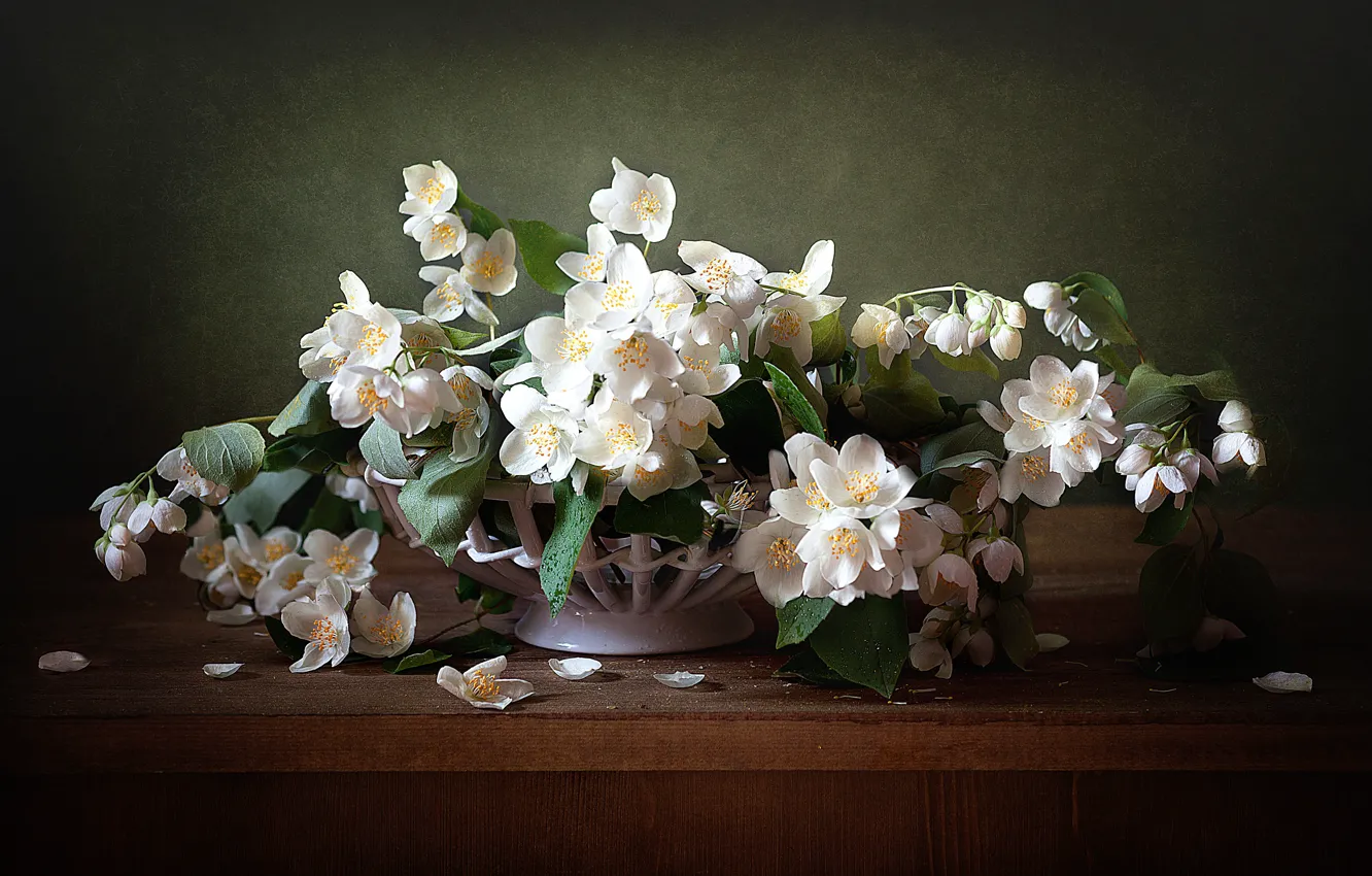 Photo wallpaper bouquet, petals, Jasmine