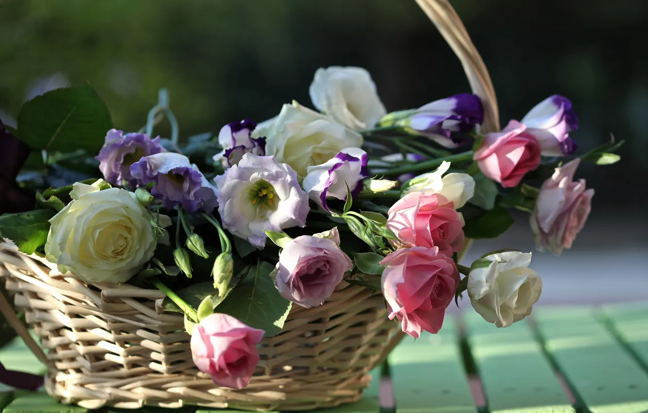 Photo wallpaper Board, roses, basket, buds, eustoma, © Elena Di Guardo
