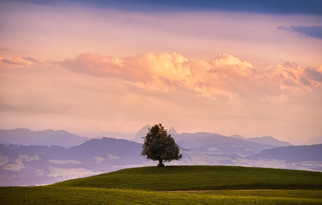 Photo wallpaper field, the sky, grass, clouds, mountains, nature, tree