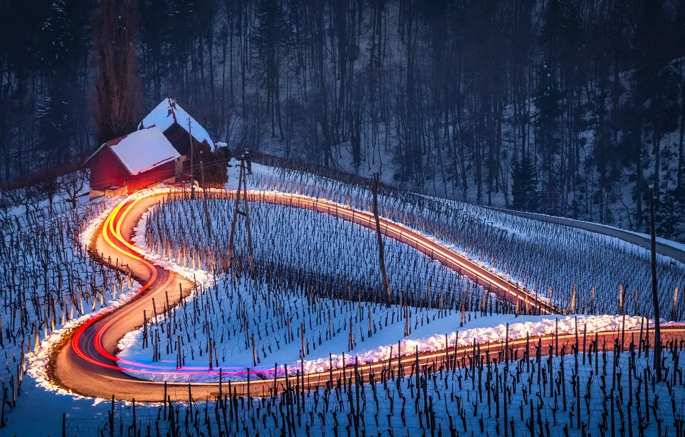Photo wallpaper winter, road, light, snow, excerpt, houses