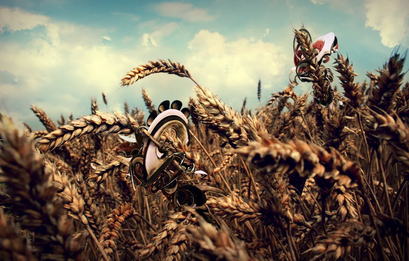 Photo wallpaper wheat, field, clouds, treatment