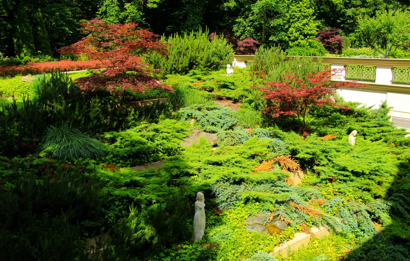 Photo wallpaper park, garden, plants