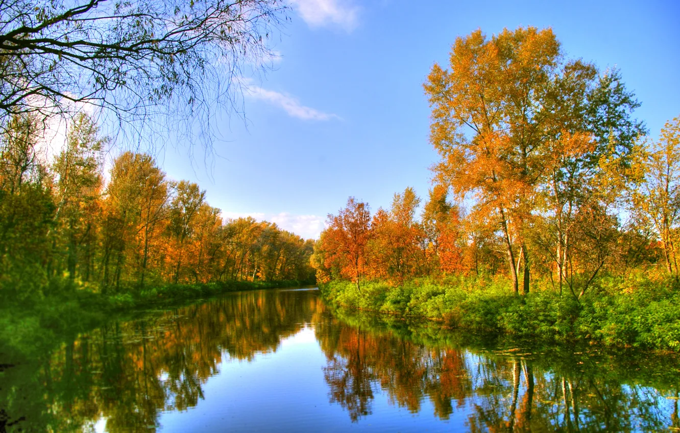 Photo wallpaper Nature, Autumn, Trees, River