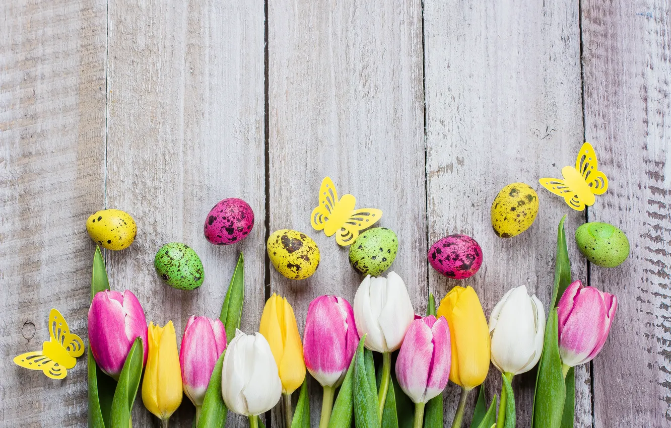 Photo wallpaper flowers, eggs, colorful, Easter, tulips, happy, pink, flowers