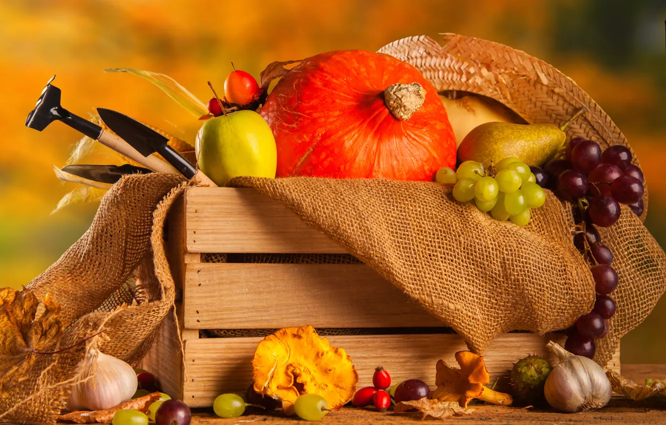 Photo wallpaper autumn, harvest, pumpkin, still life, vegetables, autumn, still life, pumpkin