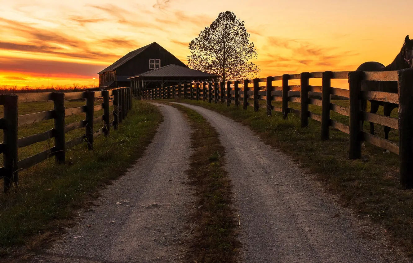 Photo wallpaper road, horse, the evening, fence