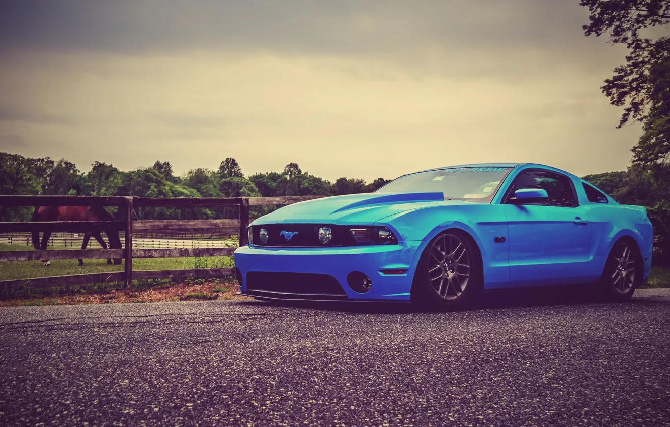 Photo wallpaper Mustang, Ford, Road, Horse, Ford, Muscle, Mustang, Car
