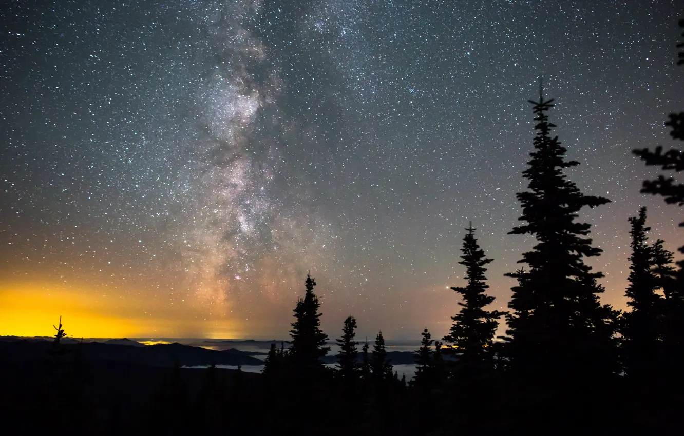 Photo wallpaper the sky, space, stars, trees, night, space, the milky way