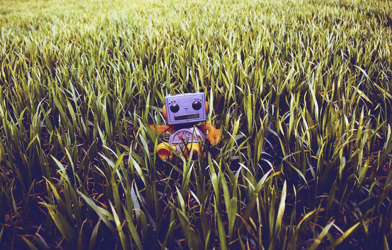 Photo wallpaper grass, lawn, robot, toy