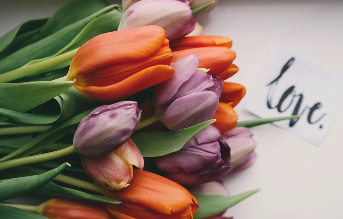 Photo wallpaper flowers, bouquet, tulips, buds