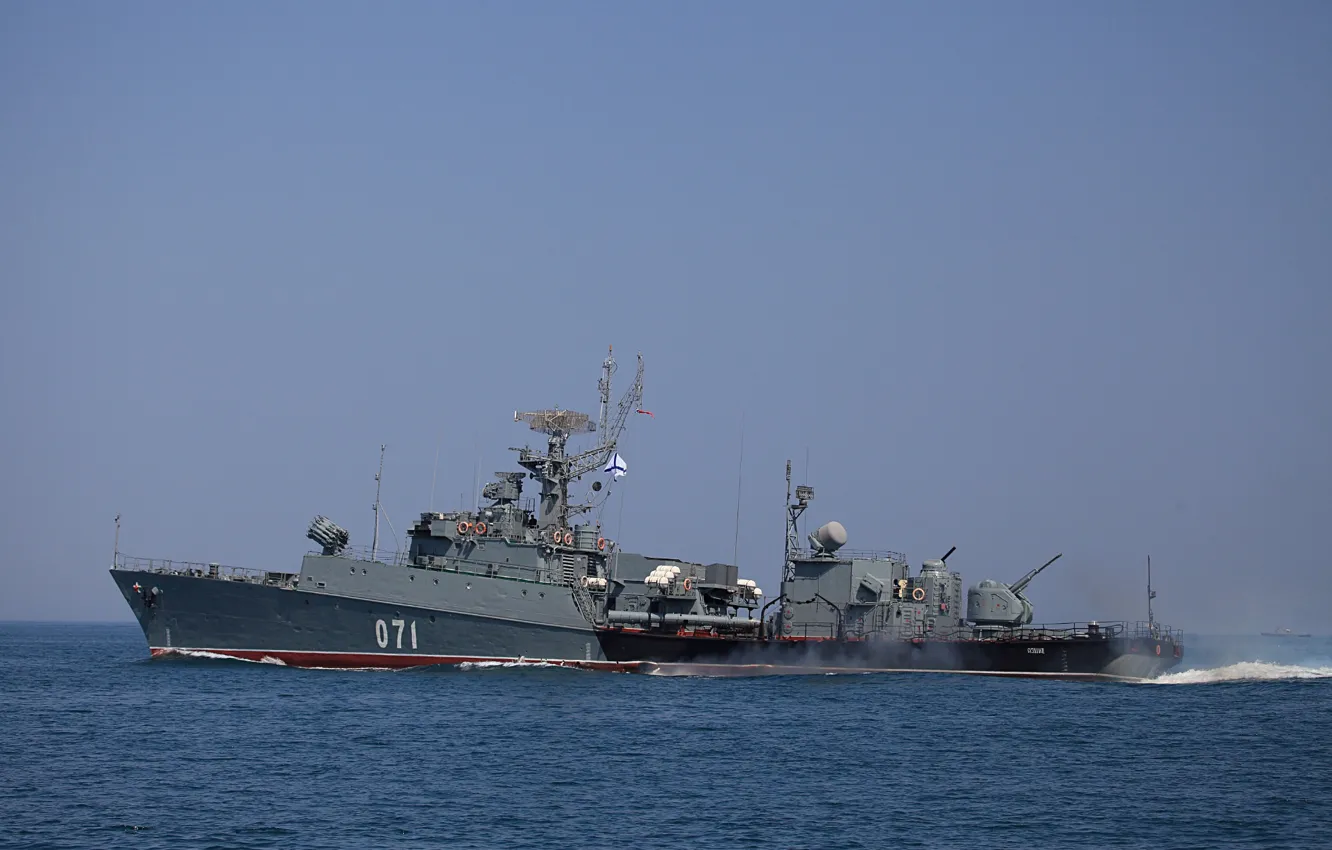 Photo wallpaper The black sea, albatrosses, MPK, Suzdalets