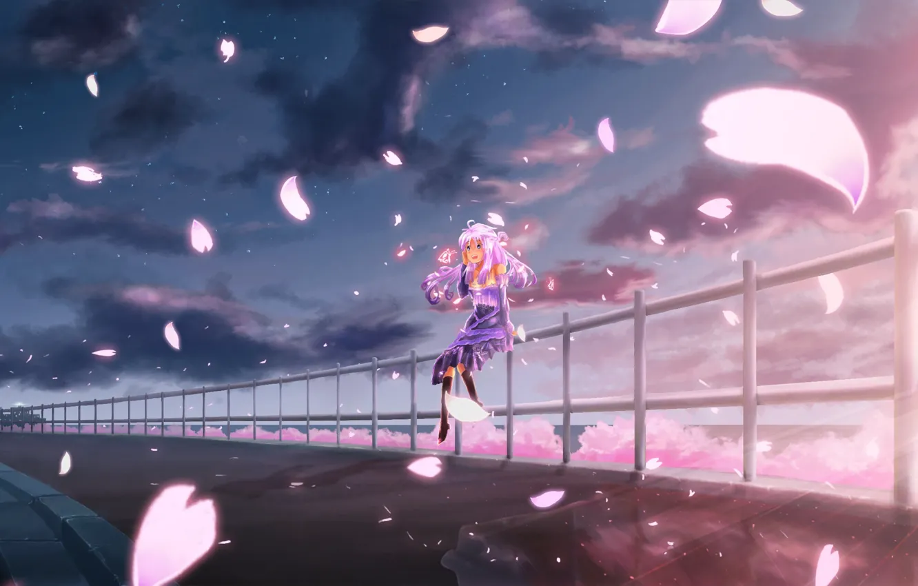 Photo wallpaper the sky, girl, clouds, joy, sunset, anime, petals, Sakura