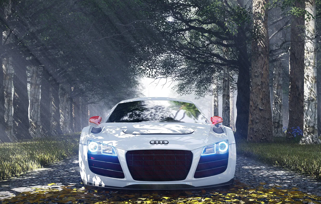 Photo wallpaper Audi, Audi R8, Special Edition