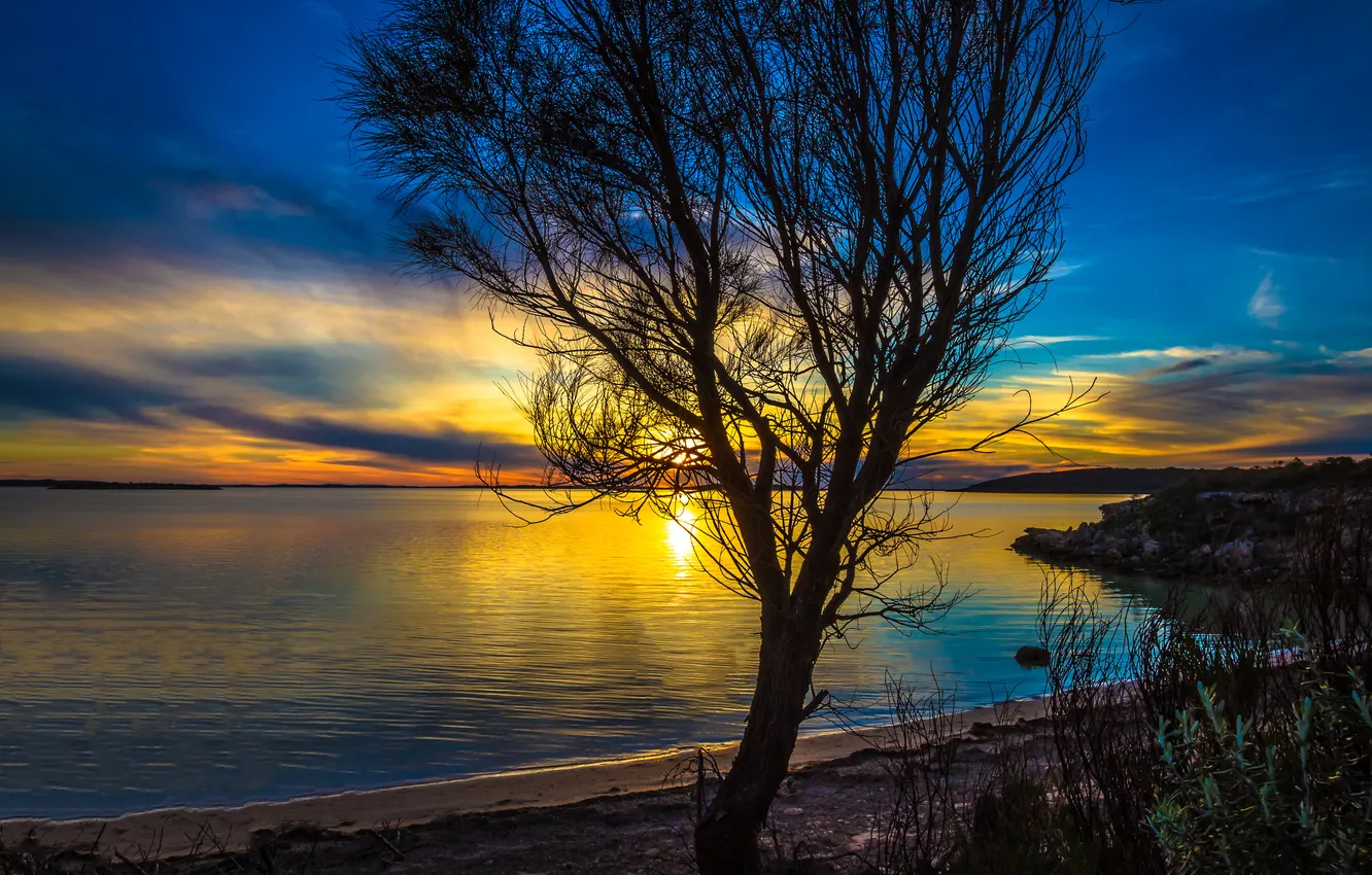 Photo wallpaper sea, the sun, trees, sunset, coast, Australia, Bay, Port Lincoln