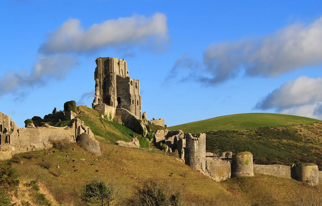 Wallpaper the sky, clouds, the ruins, ruins, Corfe Castle, Corfe castle ...